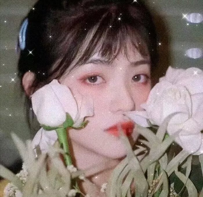 铁骑金戈